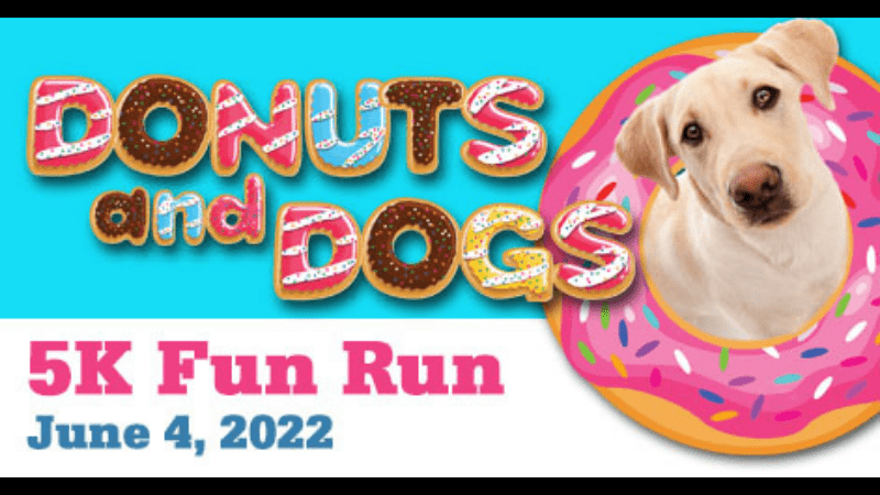 dogs and donuts