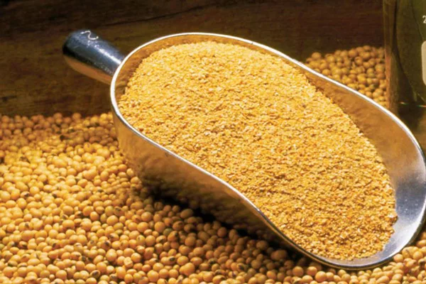 soybean-meal-jpg