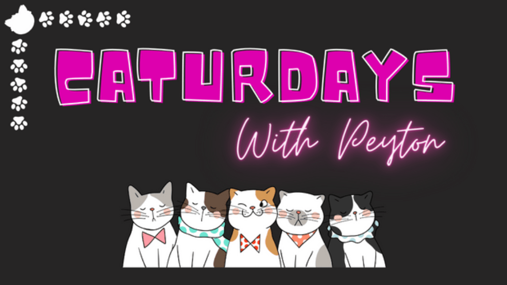 caturdays-with-peyton-rrc-sized-feature-image-png-3