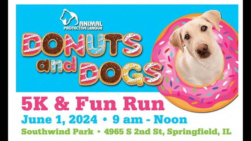donuts-and-dogs-canva