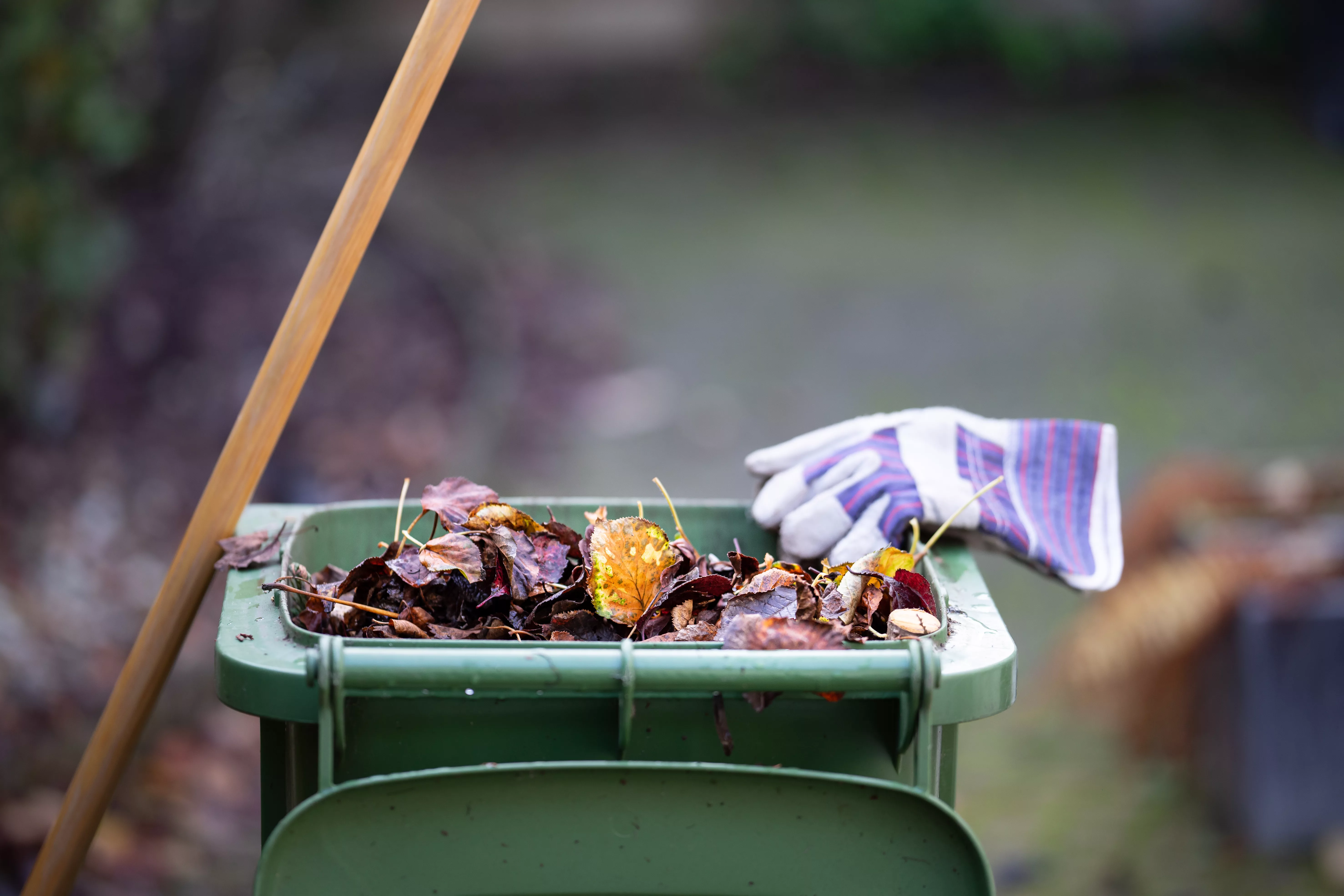 Annual free yard waste drop-off returns to Springfield with help from ...