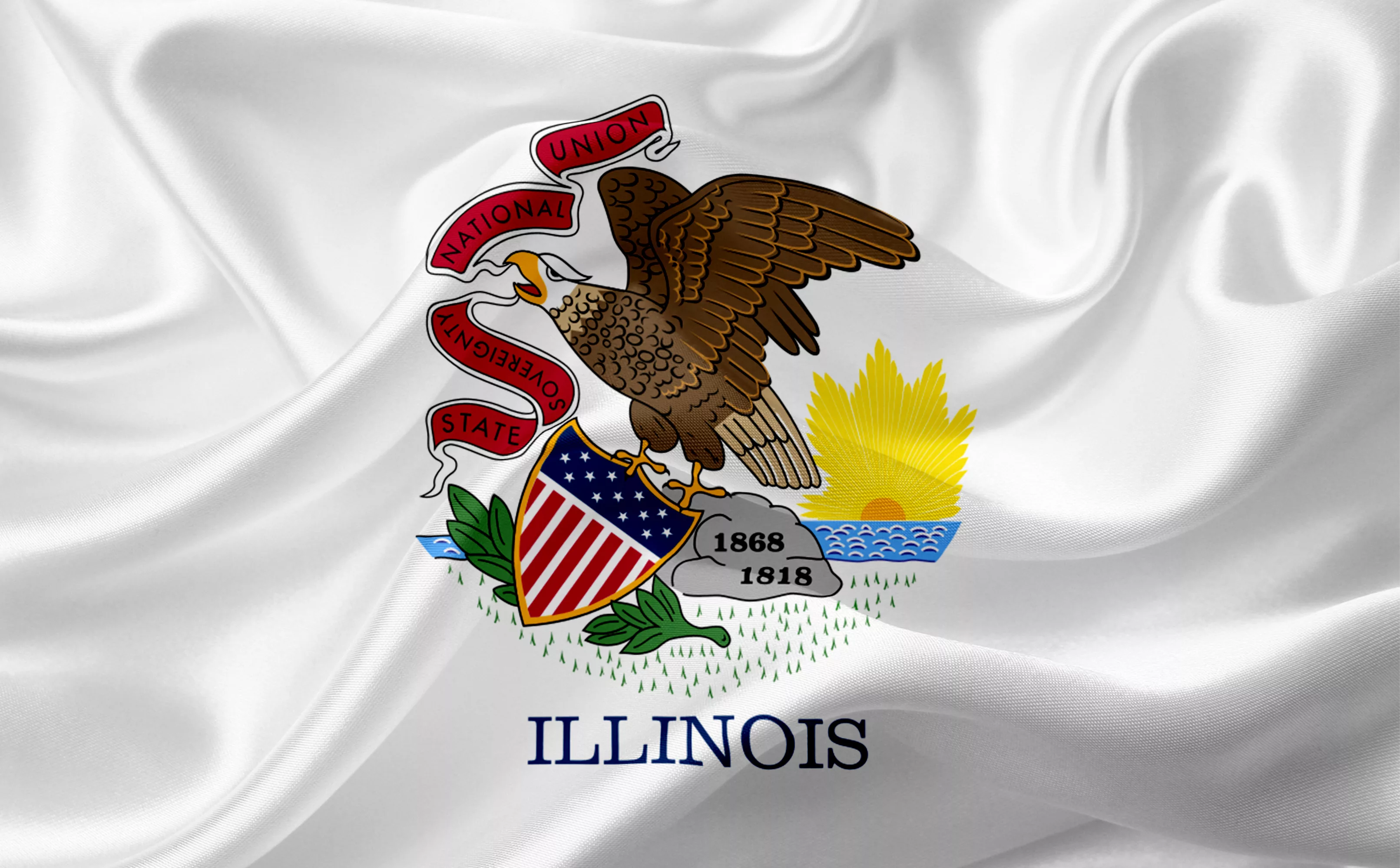 Flag of Illinois, USA with waving fabric texture