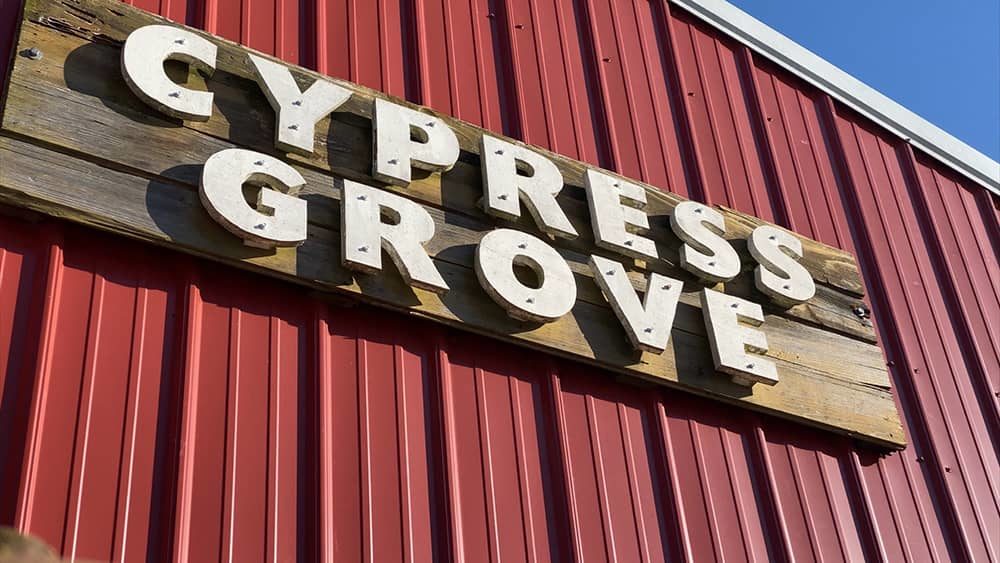 cypressgrovebrewing-kyle