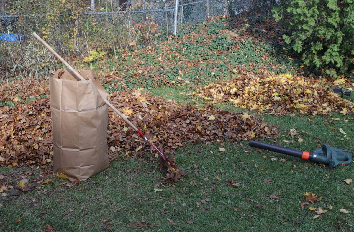 Springfield Asks Resident To Be Careful Where They Leave Yard Waste