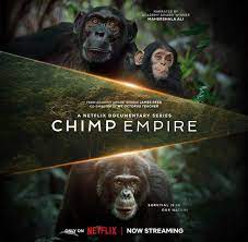chimp-empire-jpg