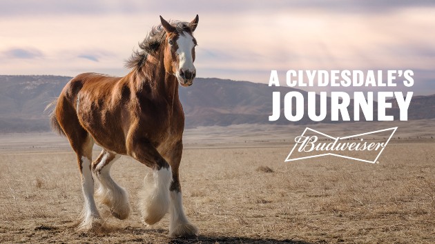 e_budweiser_02022022