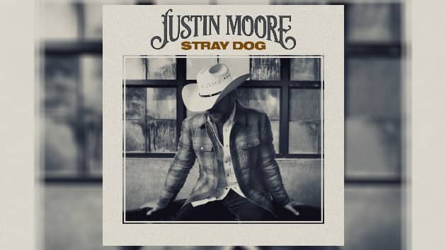 m_justinmoorestraydog650805