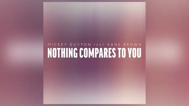 m_nothingcomparestoyoumickeyguytonkanebrowncapitolnashville21013