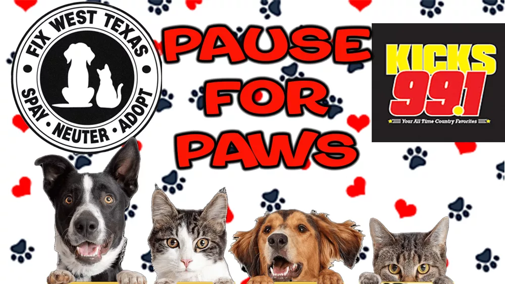 fwt-pause-for-paws-copy