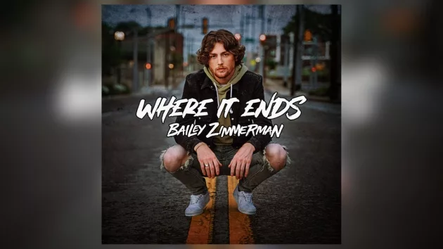 m_baileyzimmermanwhereitendswarnermusicnashvilleelektra612347