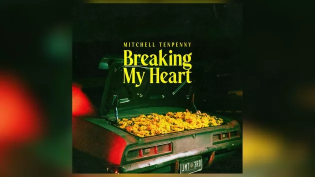 m_mitchelltenpennybreakingmyheartsonymusicnashville805773