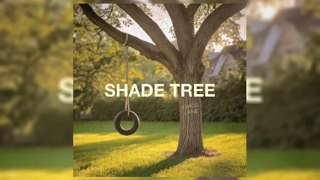 m_chrslaneshadetree661138