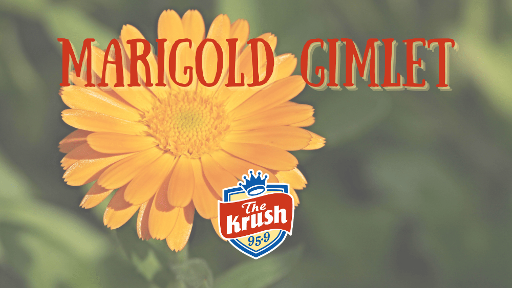 marigold