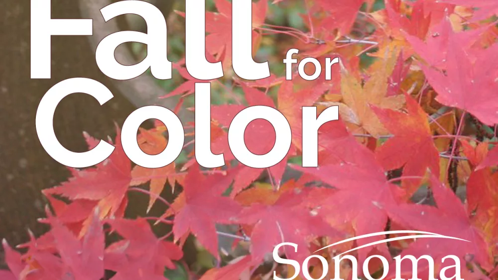 300x250-fall-for-colorlogo