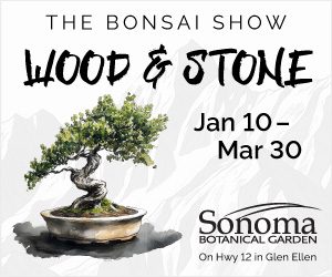 sbg_bonsai_woodstone_digital_300x250_01