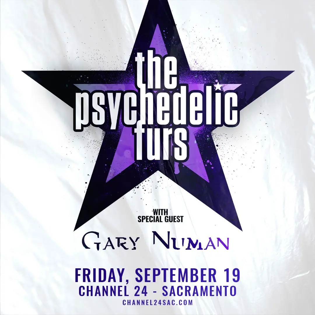 thepsychedelicfurs_ig