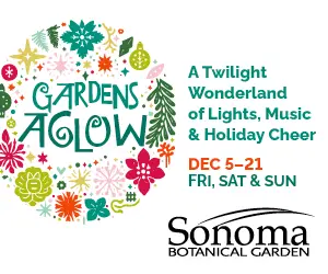 sbg_ga_digitalad_300x250_art