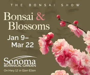 sbg_bonsai2026_digital_300x250