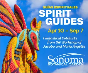sbg_spiritguides_digitalad_300x250