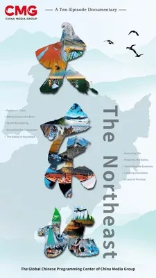 poster_of__the_documentary_about_northeast_china_that_s_the_talk_of_social_media780064