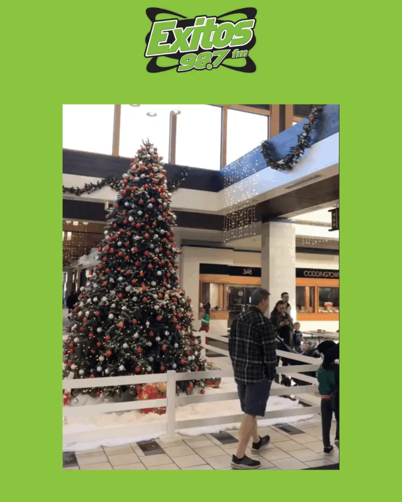 optional-template-for-main-photo-for-exitos-website-gallery