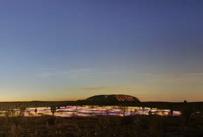 hero__field_of_light305660