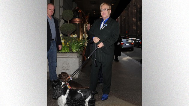 getty_eltonjohndogs_031023139073