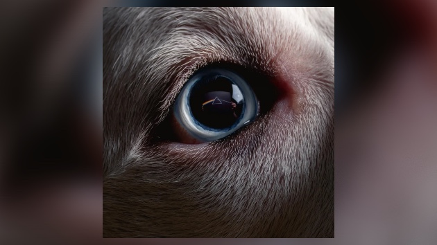 m_darksideofthemoonredux_072123906621