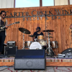 Peterson-Brothers-Sun-Vine-Cover-1000x563