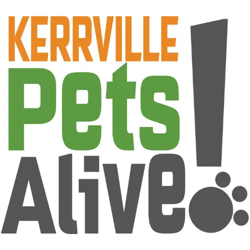 kpa-logo