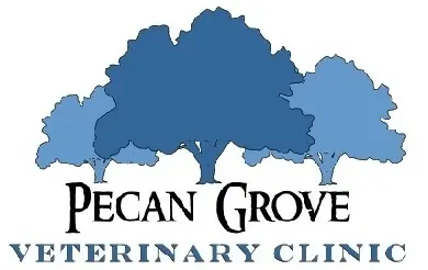pecan-grove-veternary-clinic