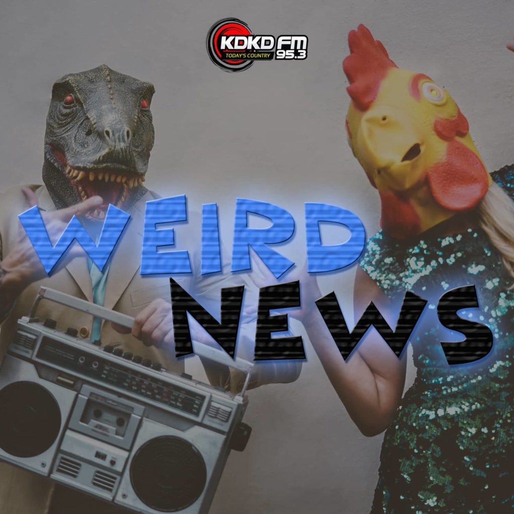 weirdnews_cover