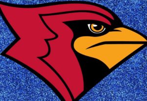 cardinal-with-blue-background
