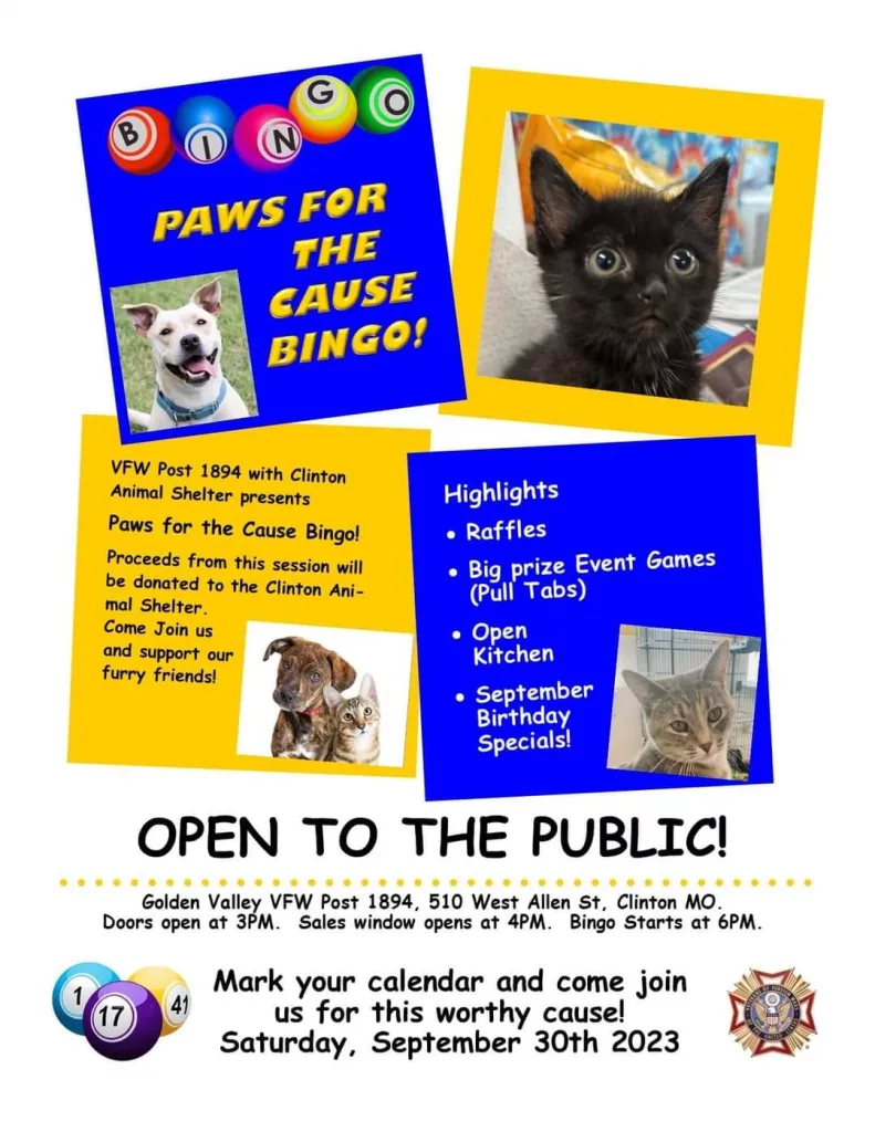 care-bingo