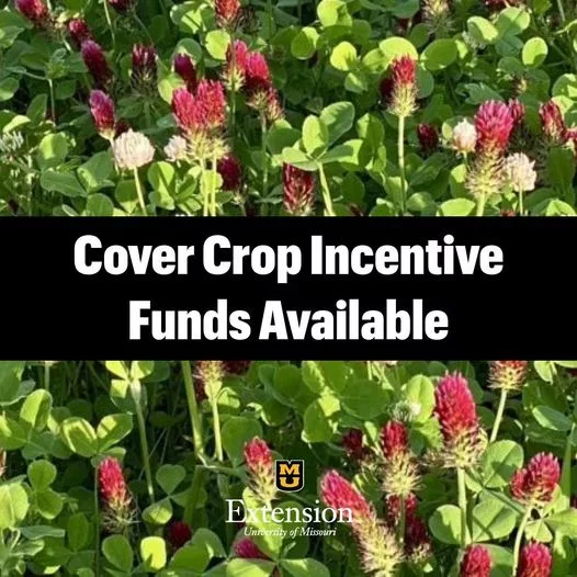 cover-crop