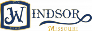 windsor_logo_letters_-outlined_png_gold-mo-1-768x258