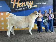champ-steer
