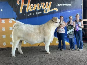 champ-steer