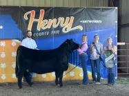 res-champ-heifer
