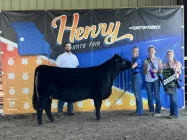 champ-heifer