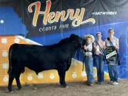 res-champ-bull