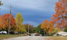 fall