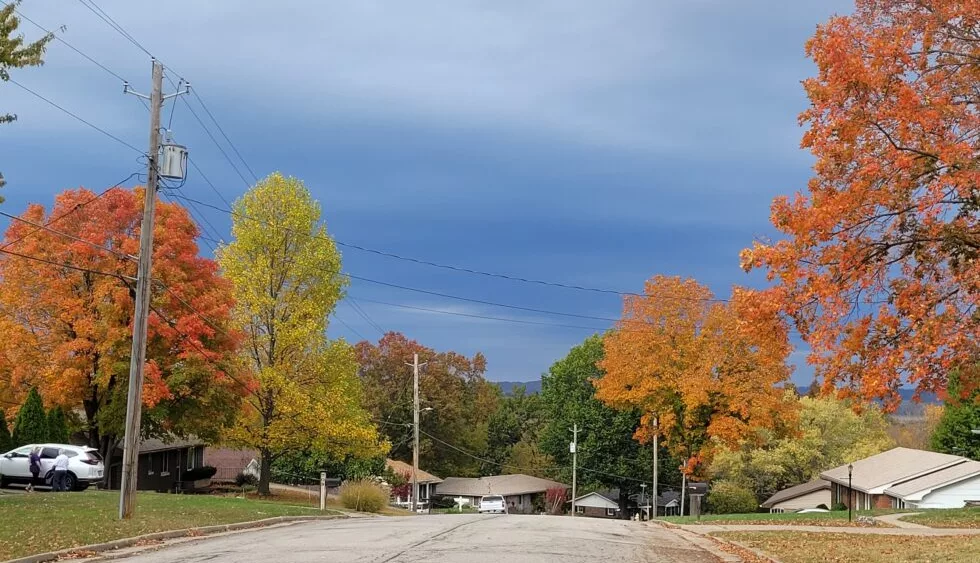 fall