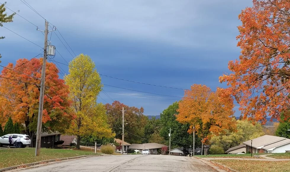 fall