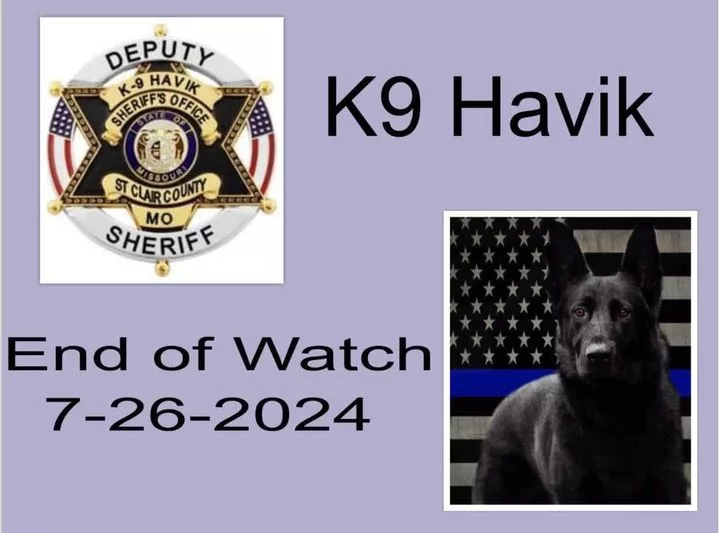 k9-havik