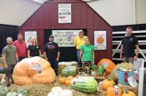 pumpkin