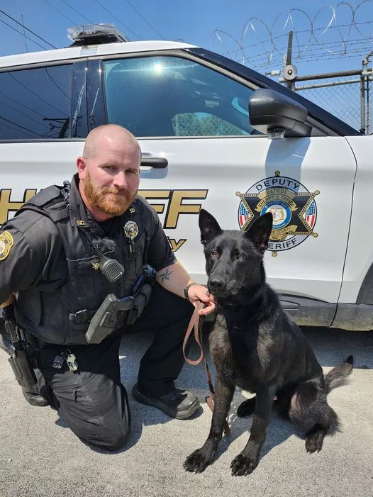 st-clair-k9