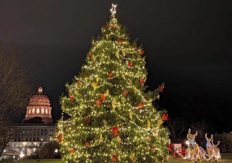 christmas-tree