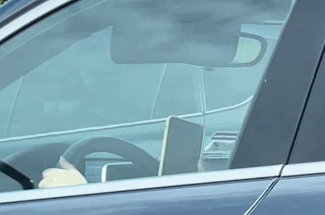 pic-driving-and-texting