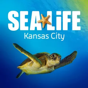 sealife